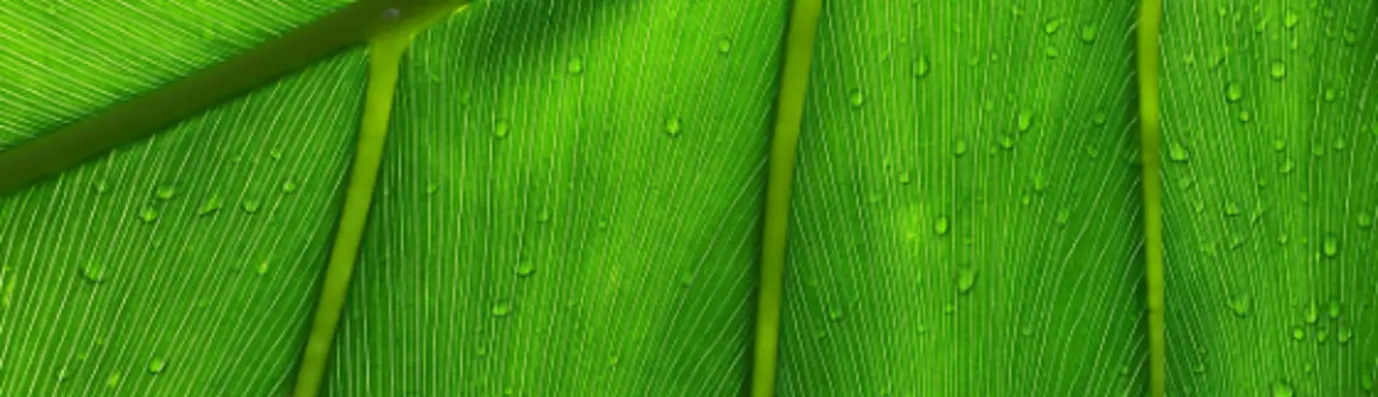 blog%20banner%20Drupal%20contribution%20opensense%20labs%20%281%29.png