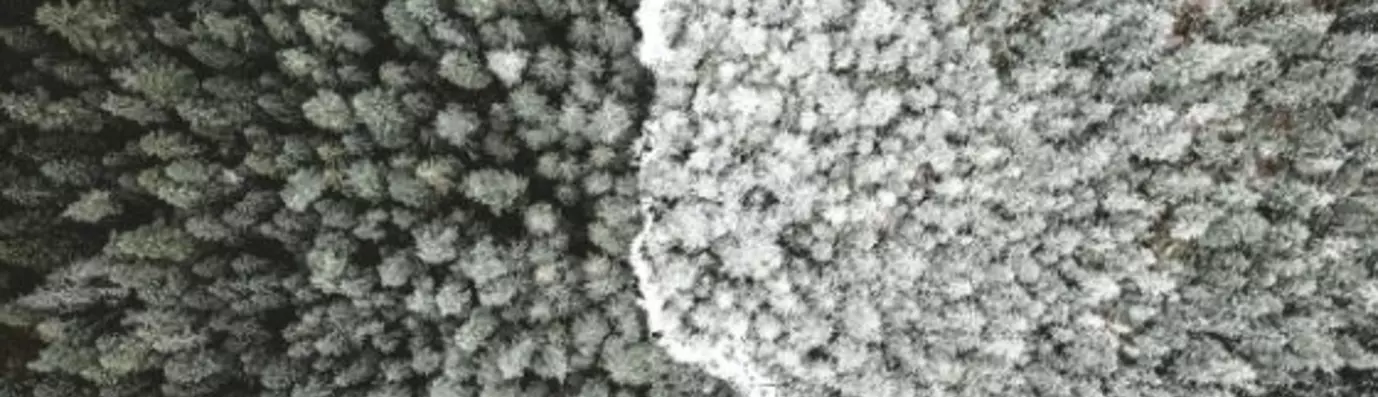 blog%20banner%20dca.jpg