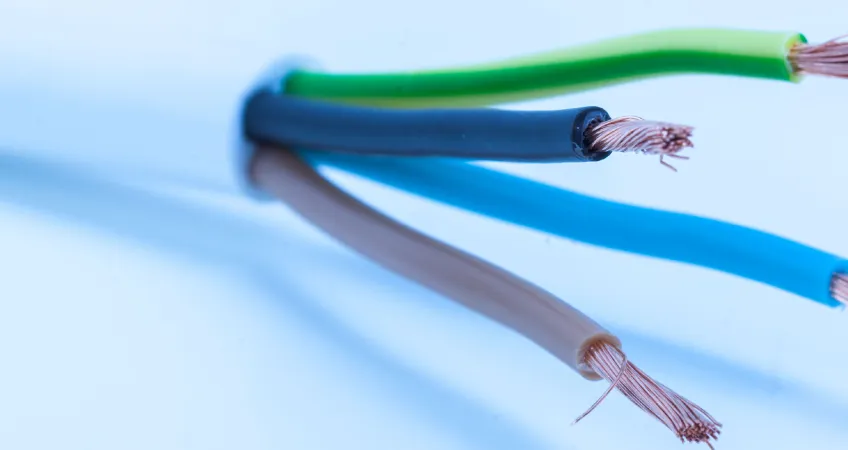   Der Erfolg von Spectrum Technologies: 25% ansprechender und zugänglicher
