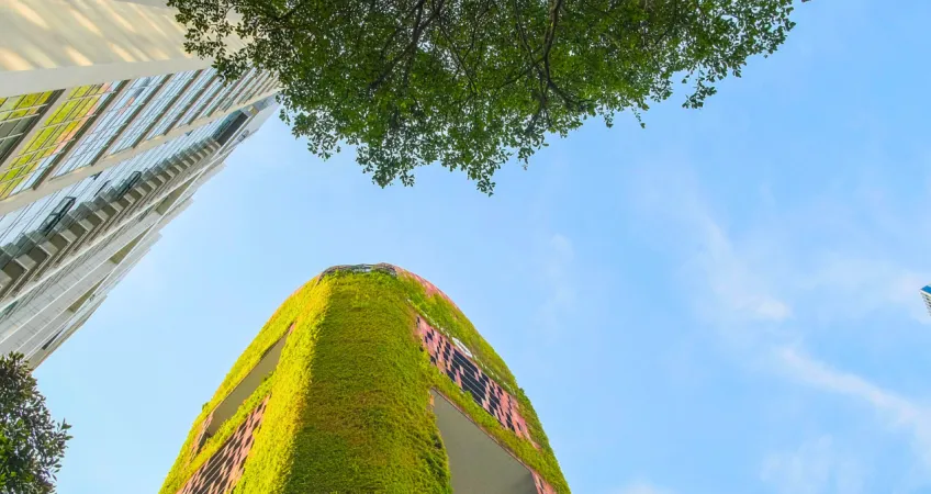   CGS Center for Global Sustainability Interactive Platform for Climate Pathways Platform OpenSense Labs
