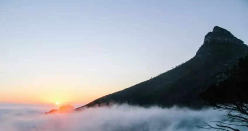 blog%20banner%20ss%20%283%29.jpg