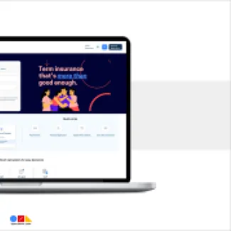 Optimized Design for Performance and Usability Bandhan Life Insurance OpenSense Labs