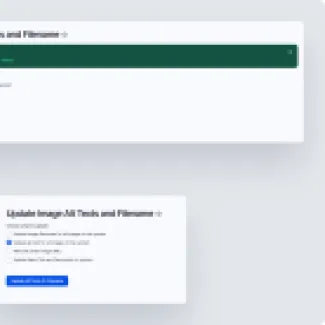 Alt Text Generation AES OpenSense Labs